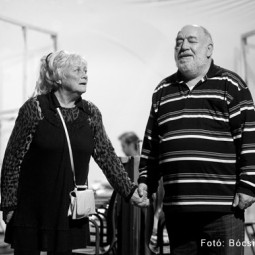 Kép nagyítása: illusztráció 12