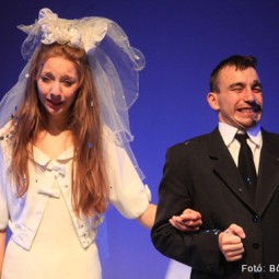 Kép nagyítása: illusztráció 16