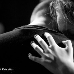 Kép nagyítása: illusztráció 10