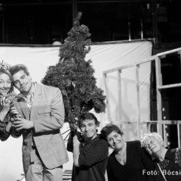 Kép nagyítása: illusztráció 8