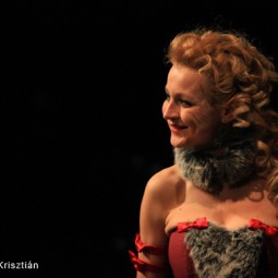 Kép nagyítása: illusztráció 7