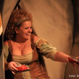 Kép nagyítása: illusztráció 24