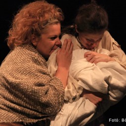 Kép nagyítása: illusztráció 16