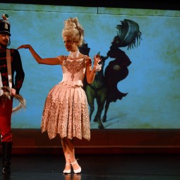 Kép nagyítása: illusztráció 72