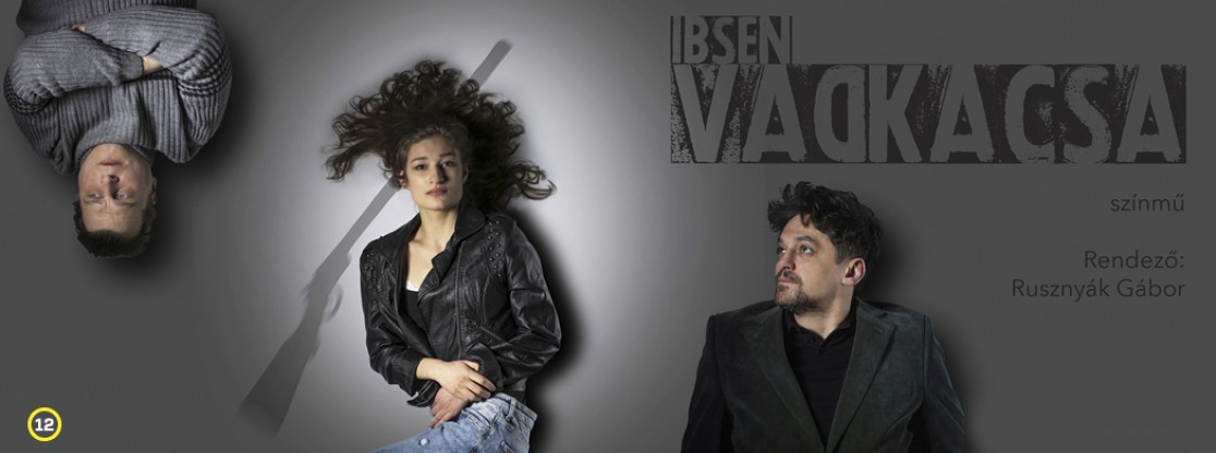 Vadkacsa (12)