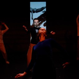 Kép nagyítása: illusztráció 24