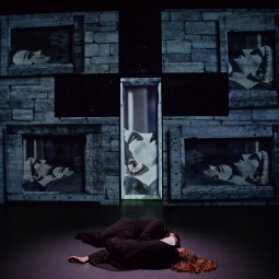 Kép nagyítása: illusztráció 28