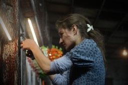 Kép nagyítása: illusztráció 43