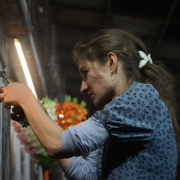 Kép nagyítása: illusztráció 28