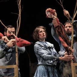 Kép nagyítása: illusztráció 5