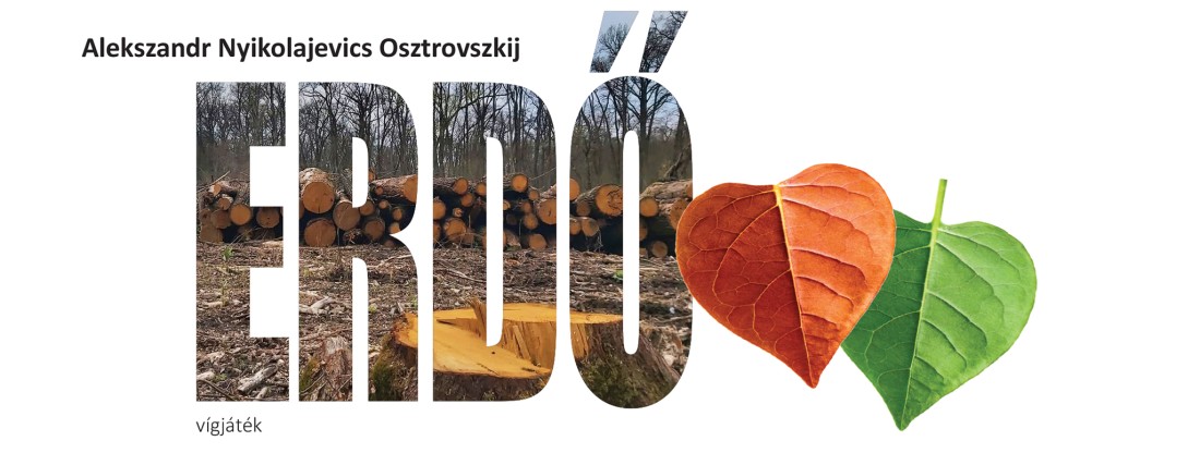 Erdő (14)