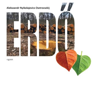 Erdő (14)