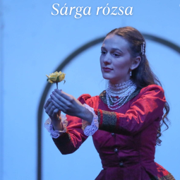 Kép nagyítása: illusztráció 3