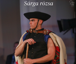 Kép nagyítása: illusztráció 4