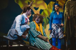 Kép nagyítása: illusztráció 8