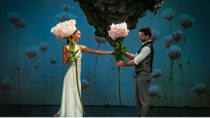 Enlarge Image: Gallery illustration 3